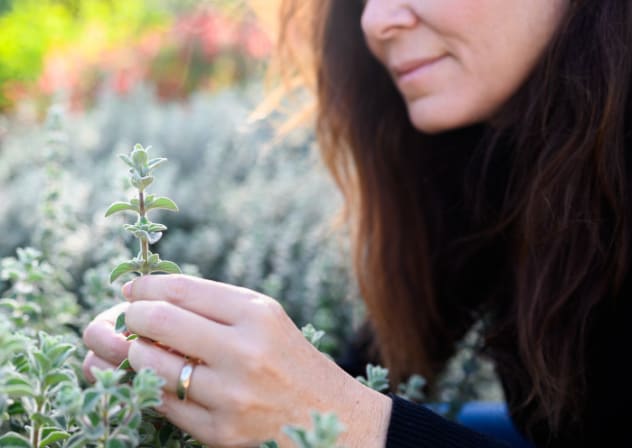 Koch Farm – the Touch the Land initiative.