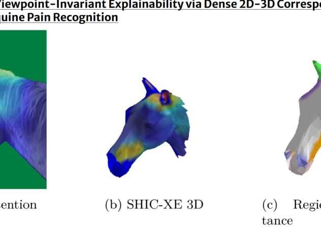 A new AI framework, known as SHIC-XE, developed to detect signs of pain in horses