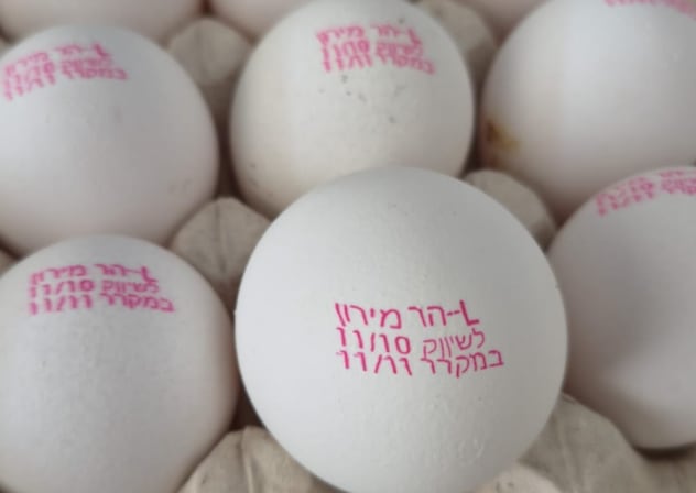 Eggs found to bear fraudulent stamps on them being smuggled into Israel from the Palestinian Authority's territory, September 24, 2026.
