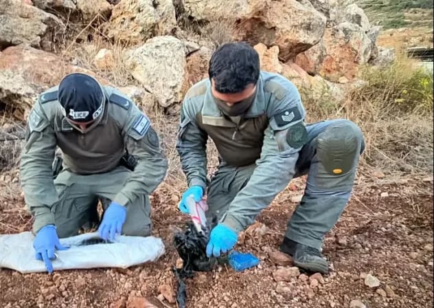 A weapon is found, being examined by police.