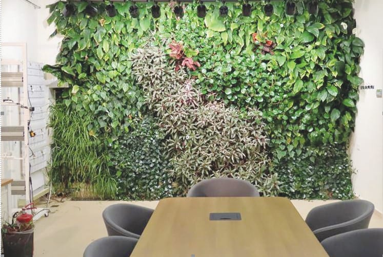 THE VERTICAL green walls are transferred from decorative features into intelligent, responsive environmental systems (photo credit: DAVID HELMAN LAB)
