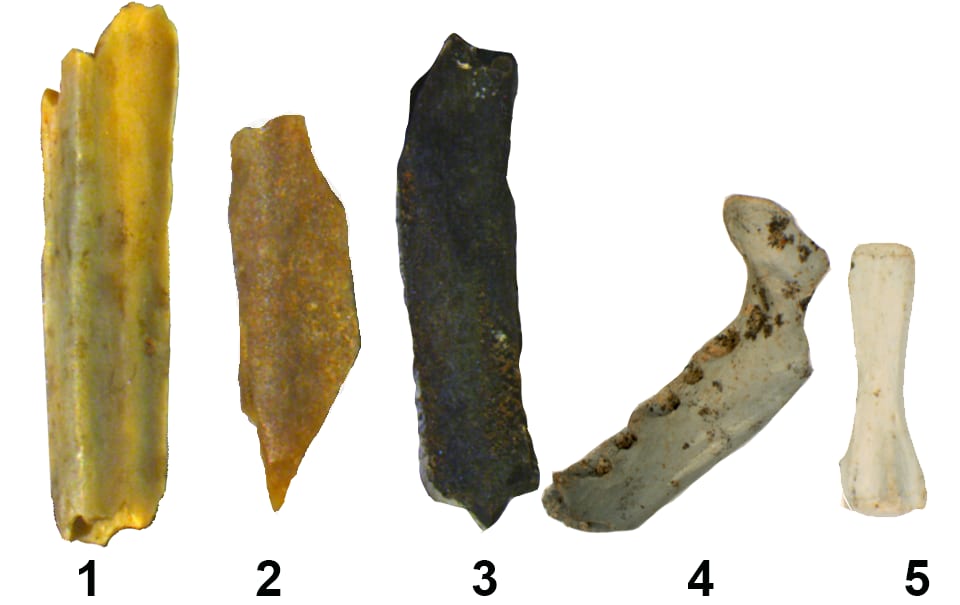 New identification technique pushes back timeline of fire use to over millenia ago, study reveals