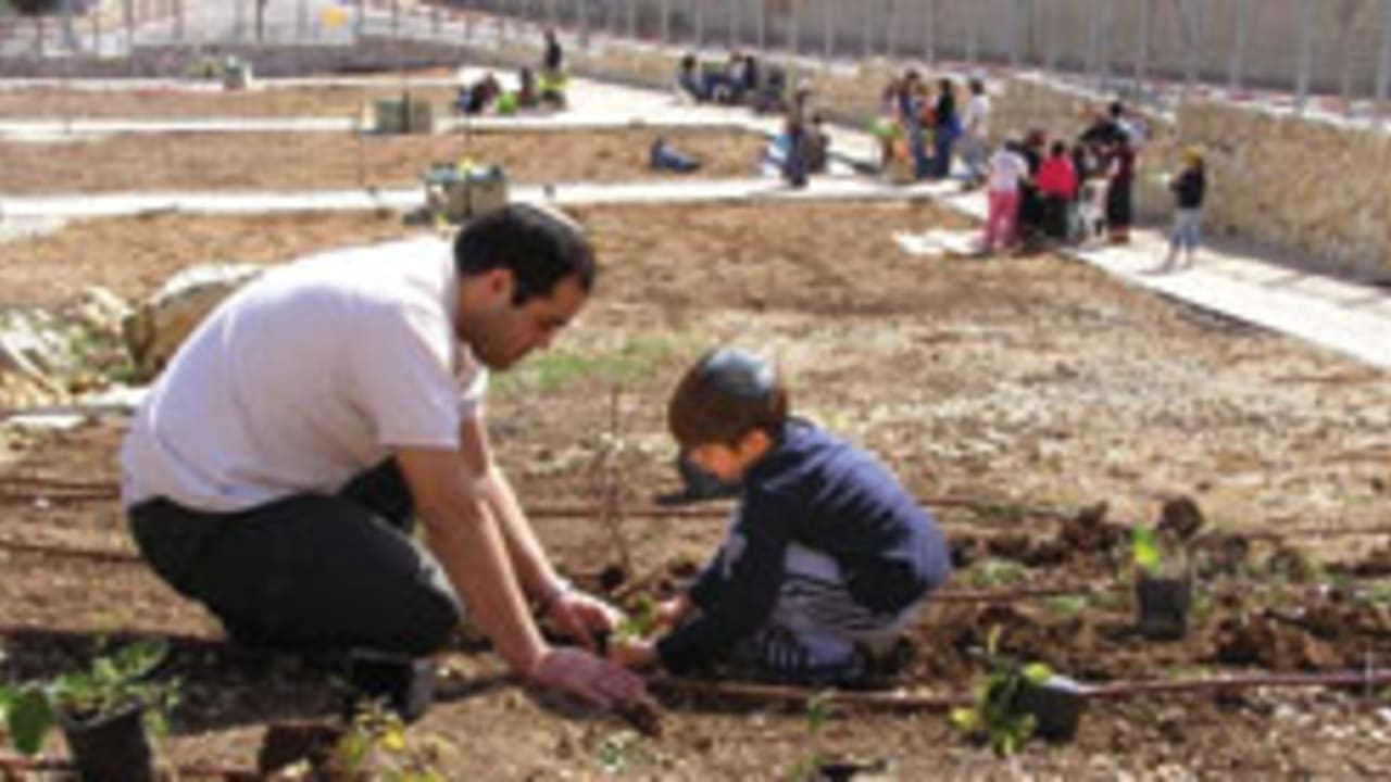 gardeners 248.88