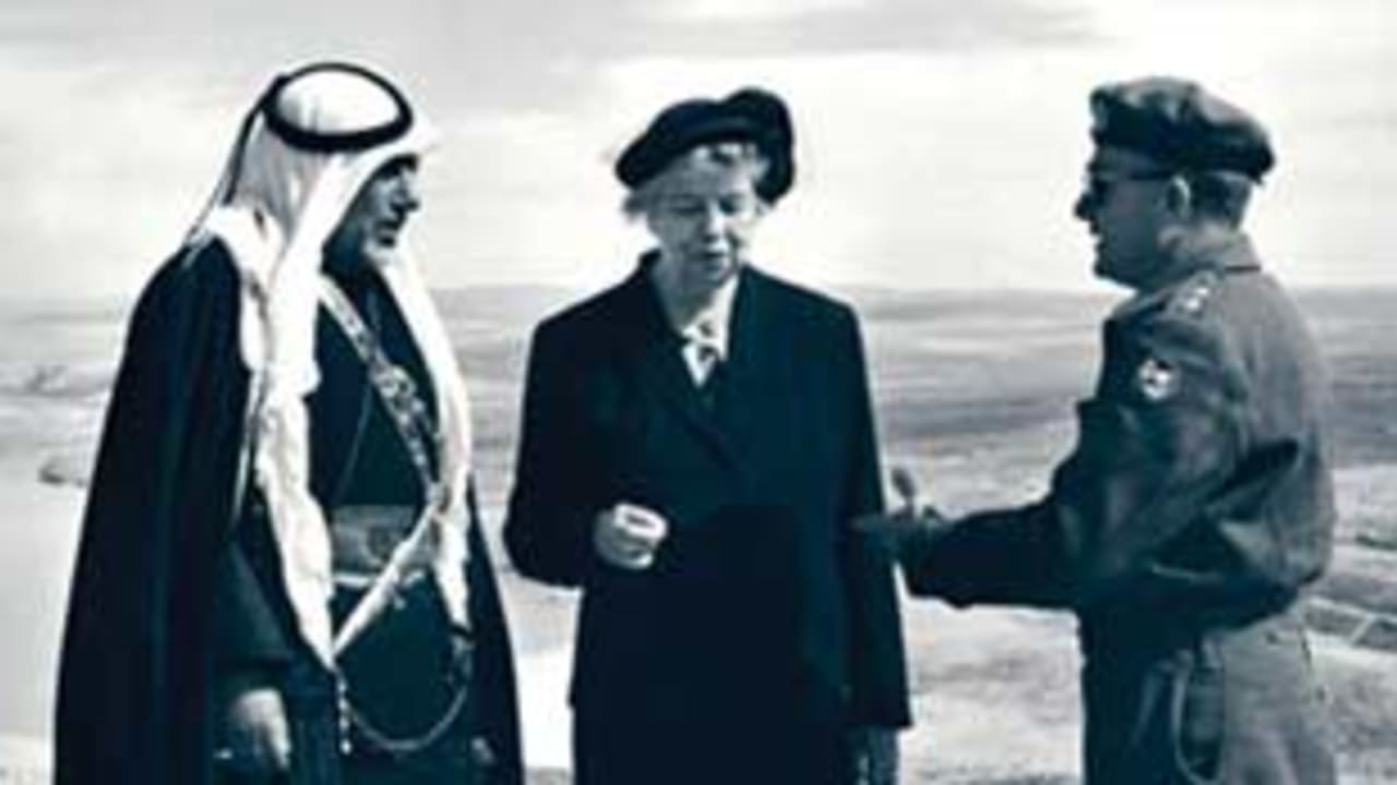 good arabs 311