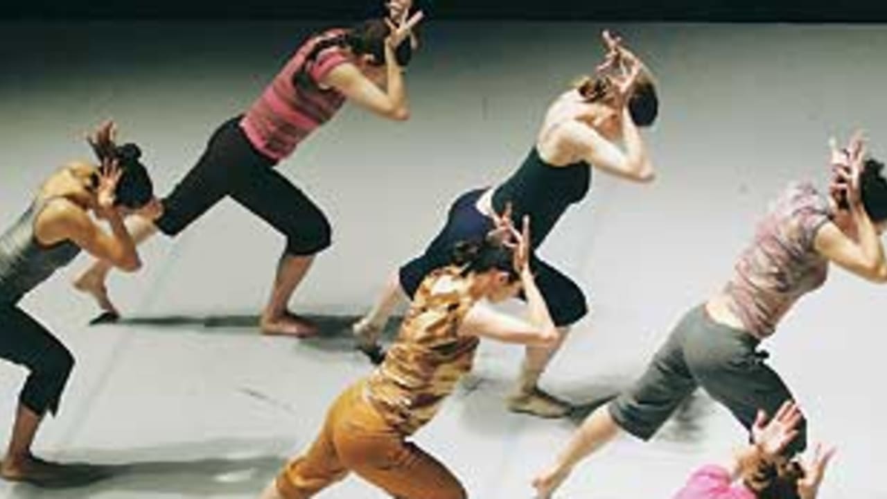 batsheva naharin 311