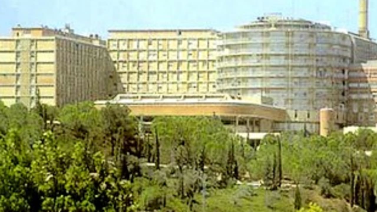 Hadassah hospital 311