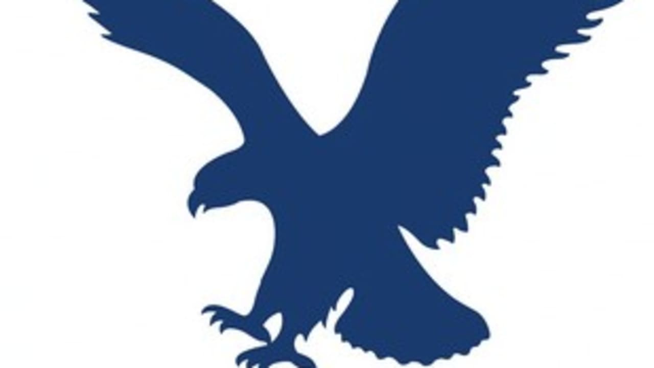 American Eagle 311