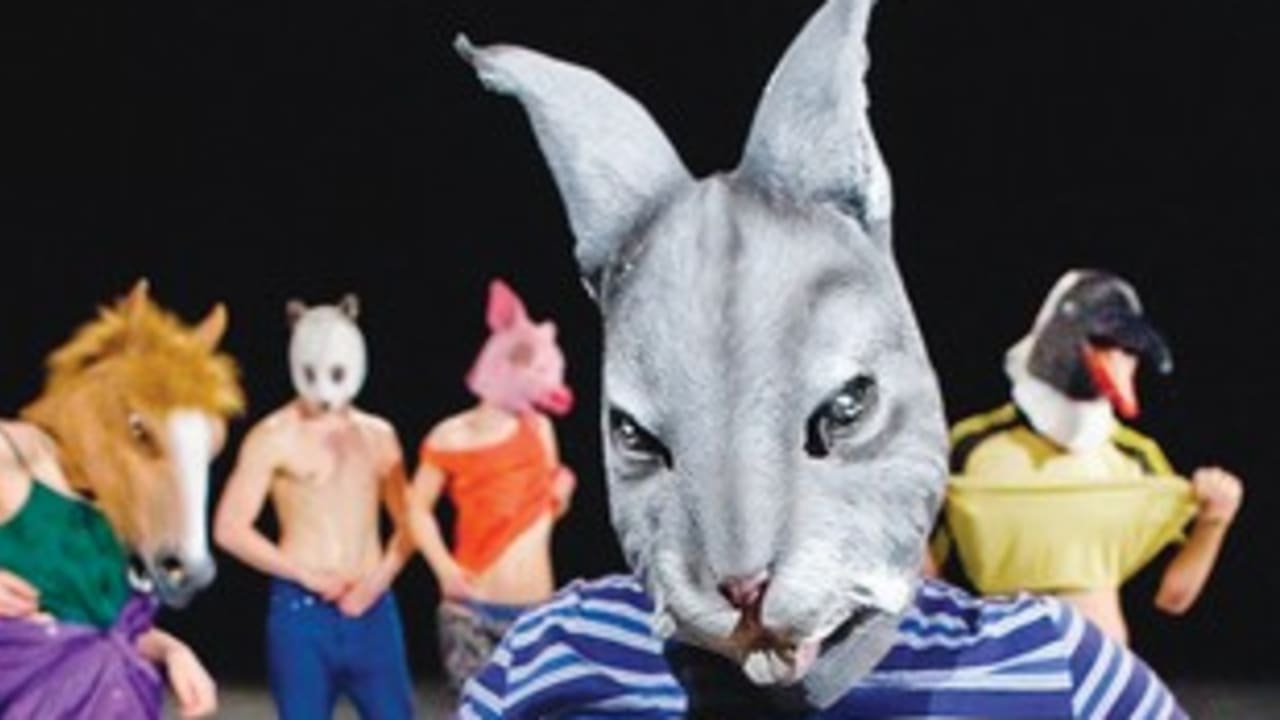 Animal Losy 311