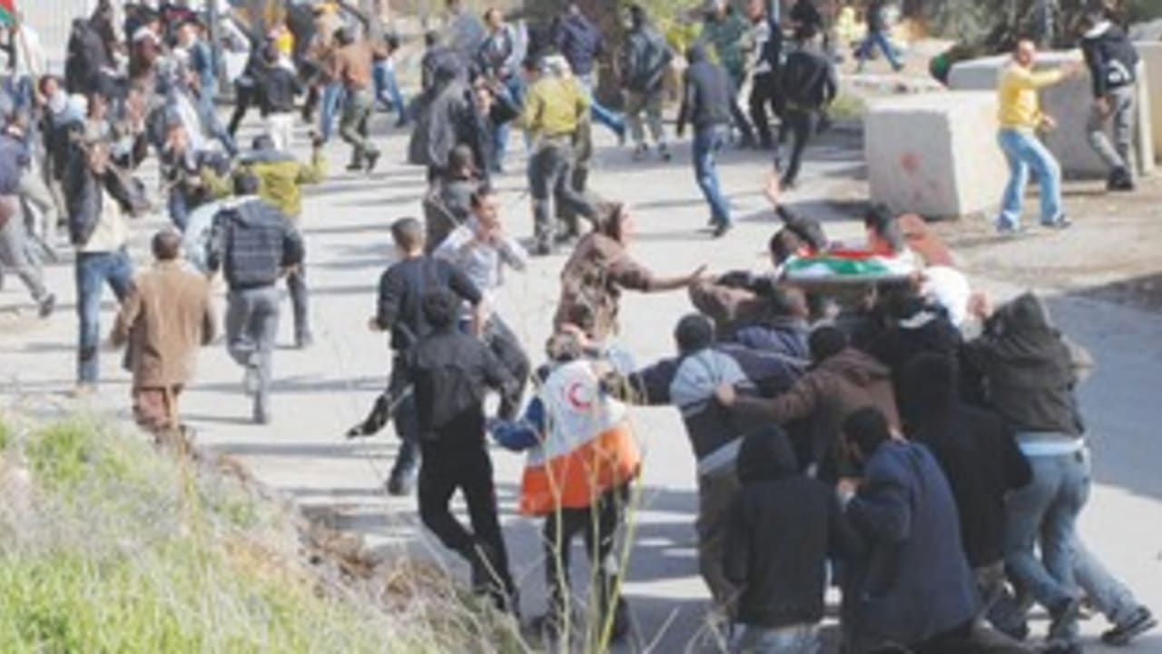 deadPalestinianteen311
