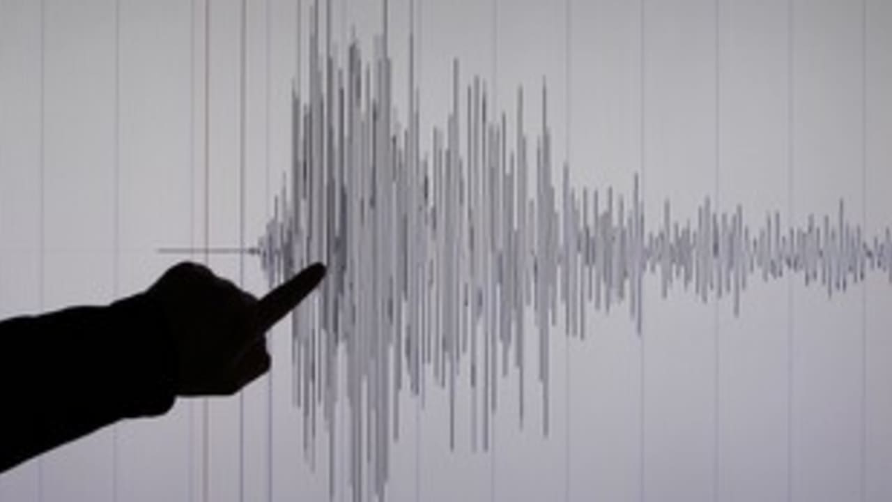 japan earthquake graph_311 reuters