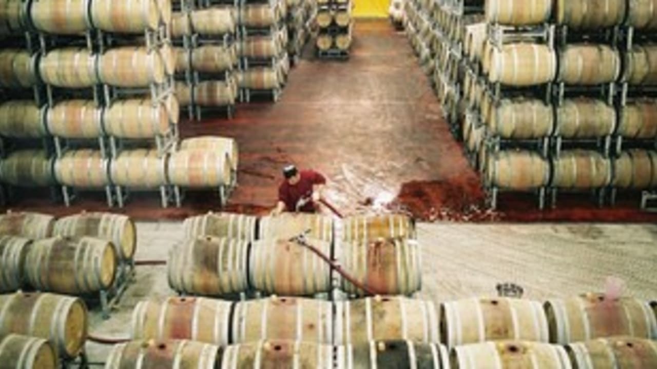 makin kosher wine 311