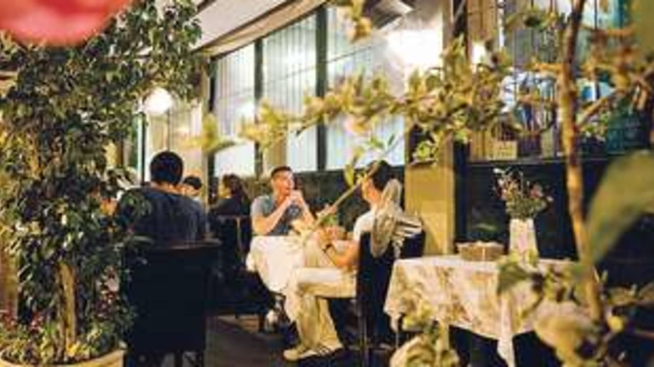 Italian trattoria Cucina Tamar 311