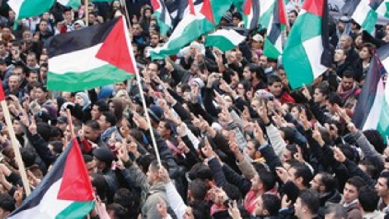 Palestinian Rally 311