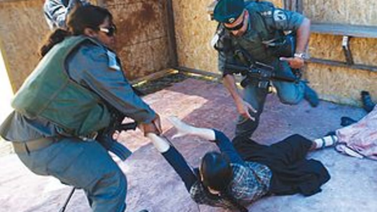 Settler removal 311