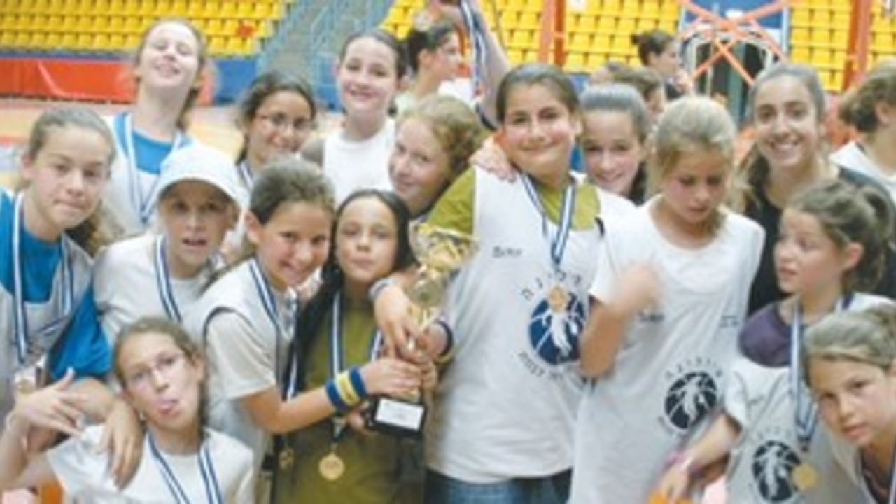 Shiraliga 311