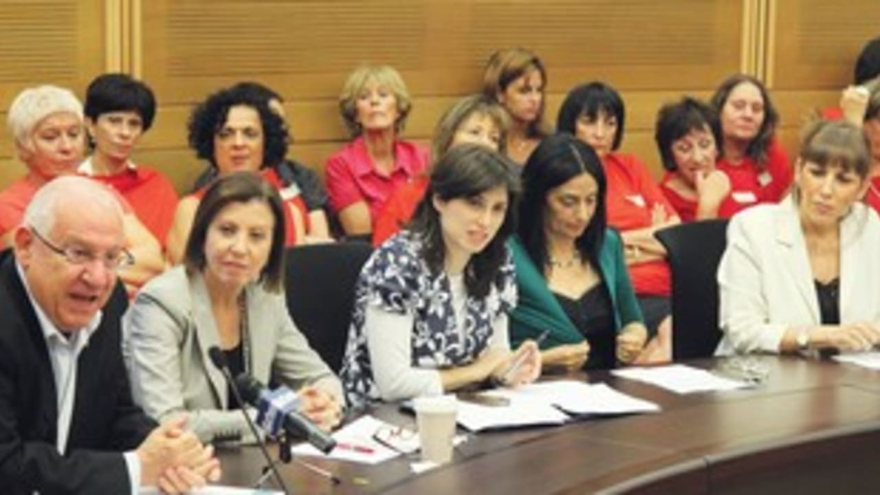 Female Knesset Members 311