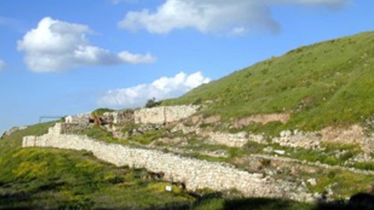 Tel Lachish 311