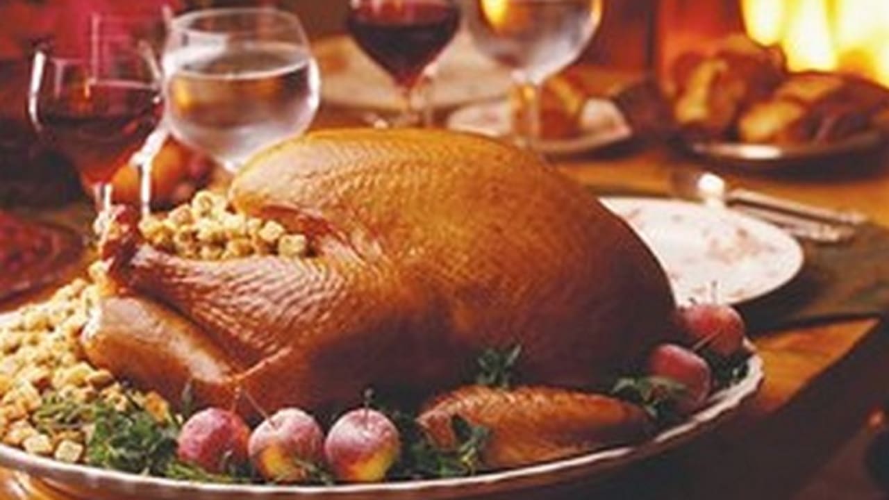 Thanksgiving turkey 521