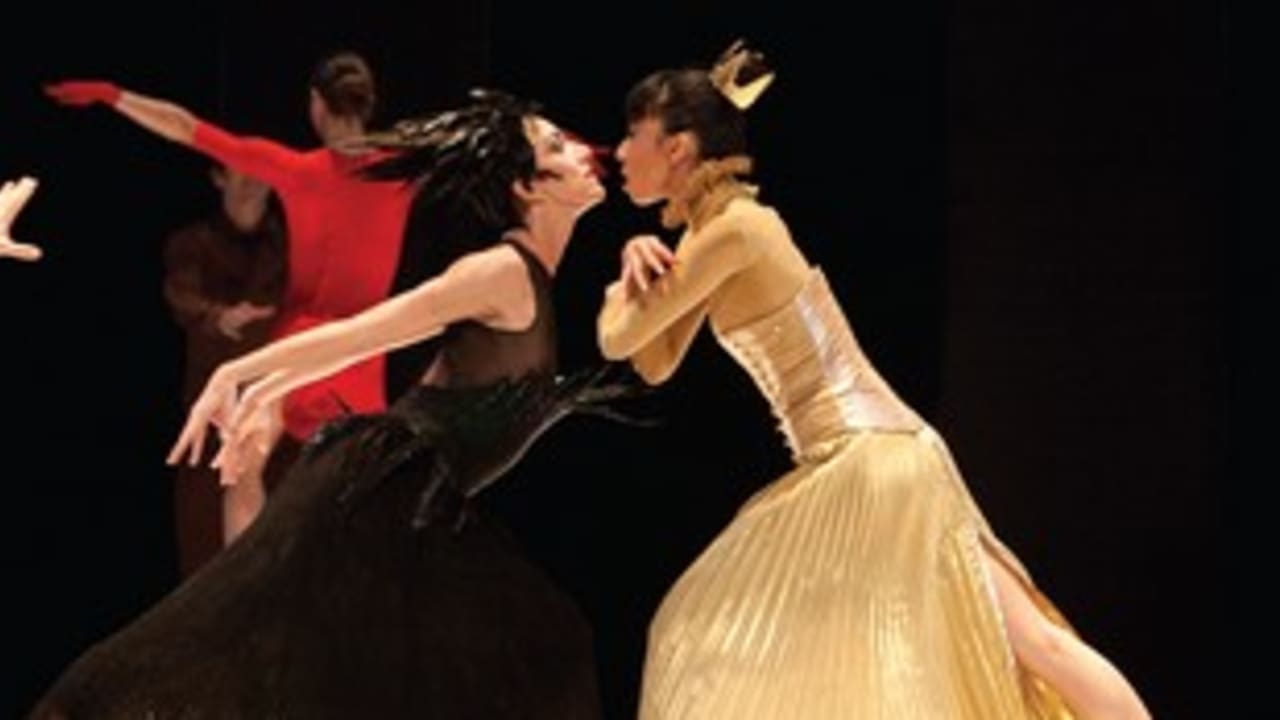 BALLET DE MONTE CARLO 311