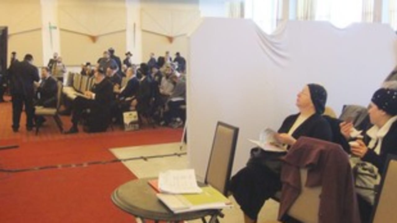 Puah conference men and women mehitza 311