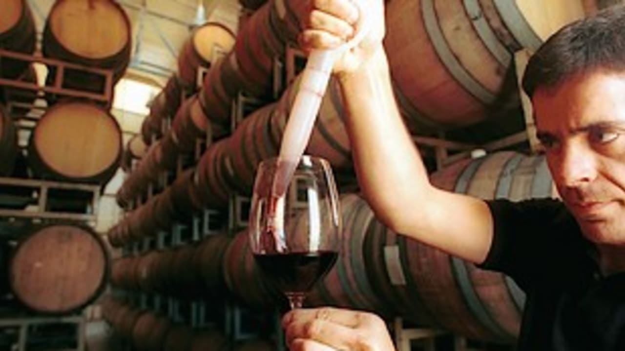 Wine talk 311