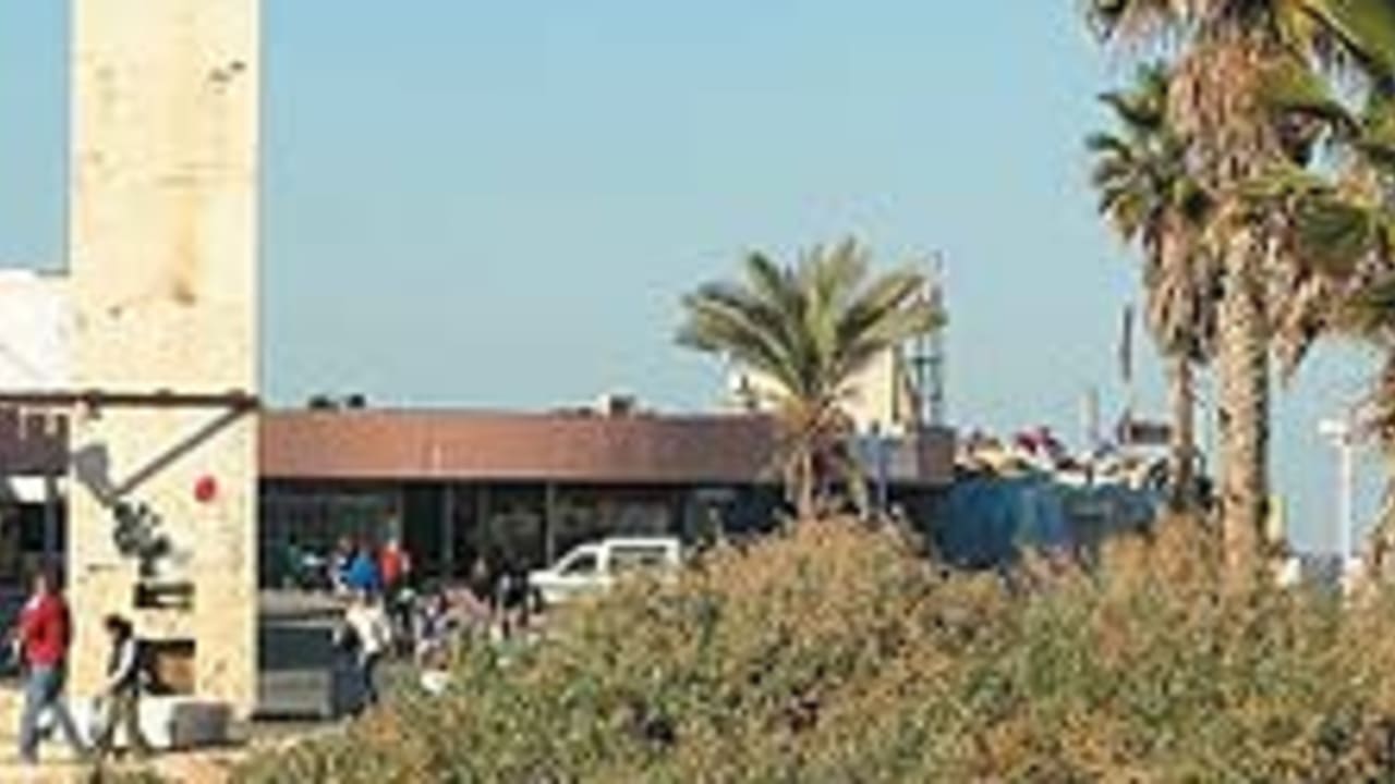 dolphinarium 88 224