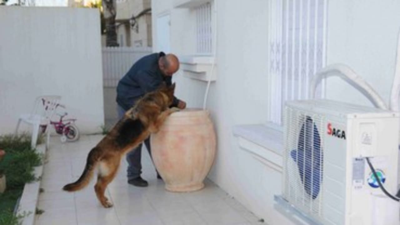 Police bust Ashdod crime-ring