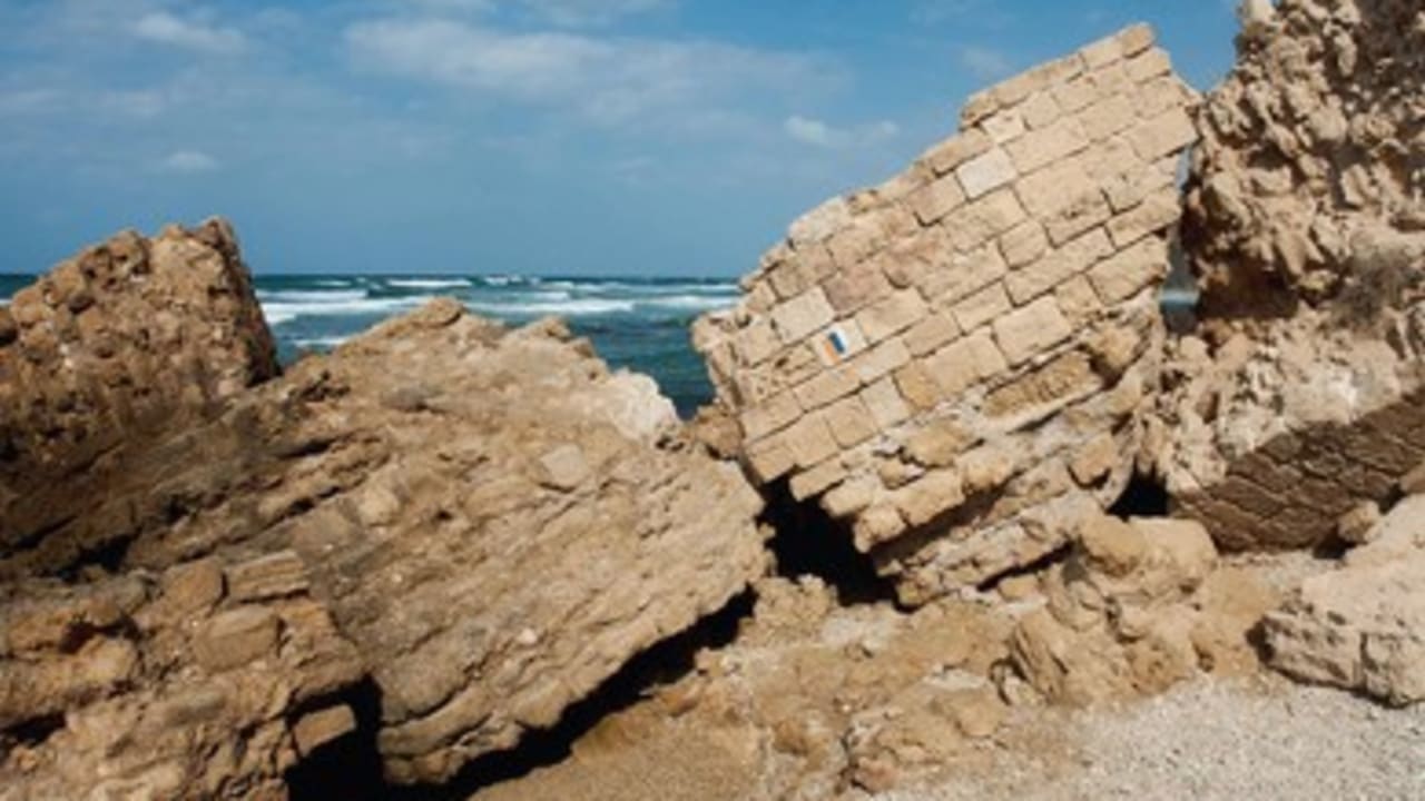 Happy trails - Apollonia between Netanya and Herzliya 390