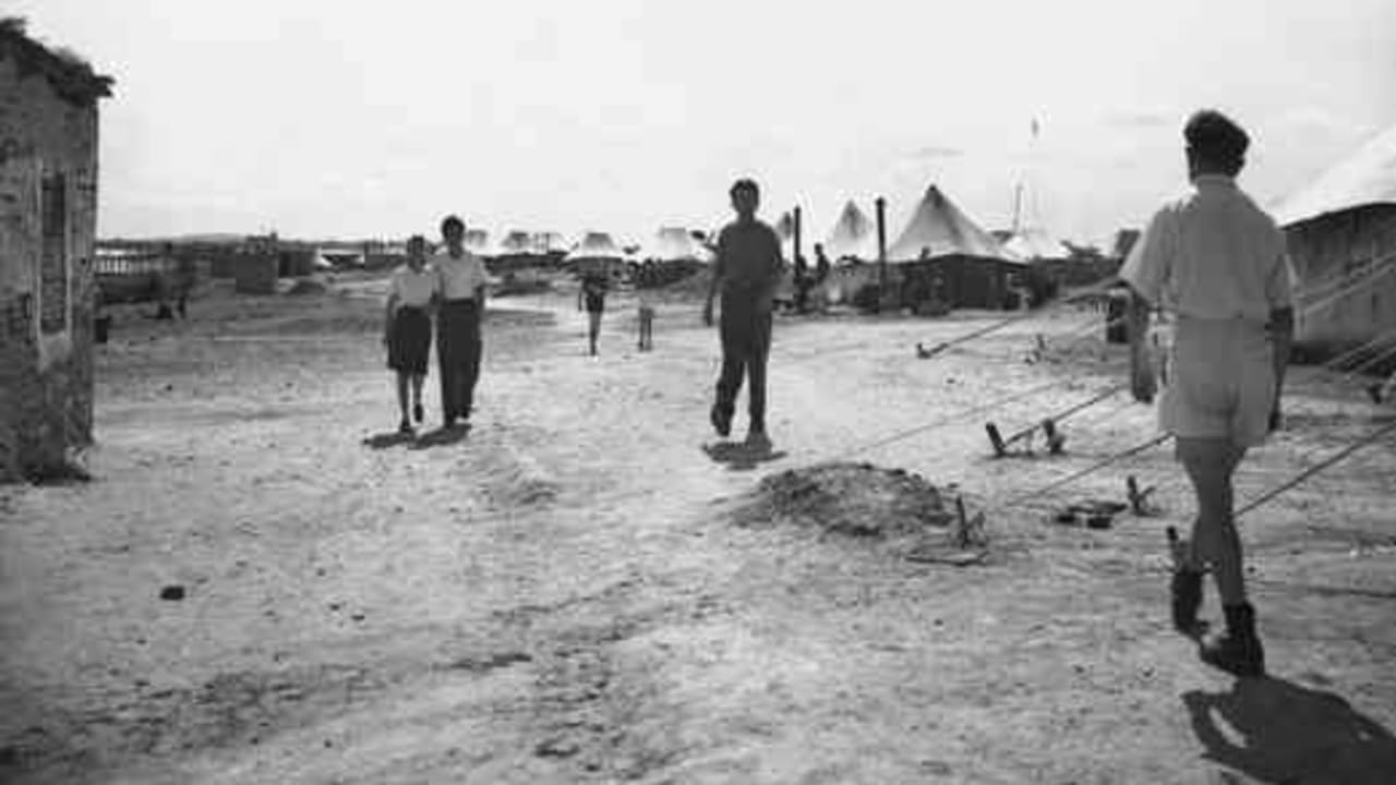 camps chypre