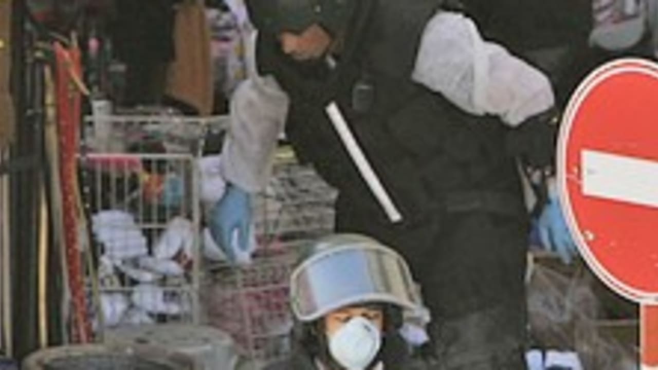 terror dimona 224.88