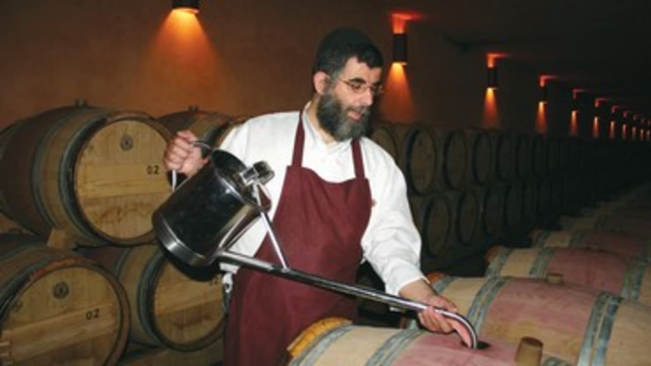 Castel Winery