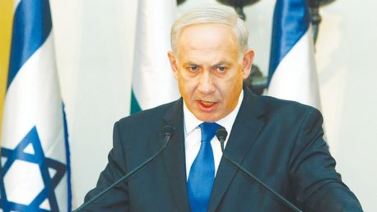 Bibi P6 287269