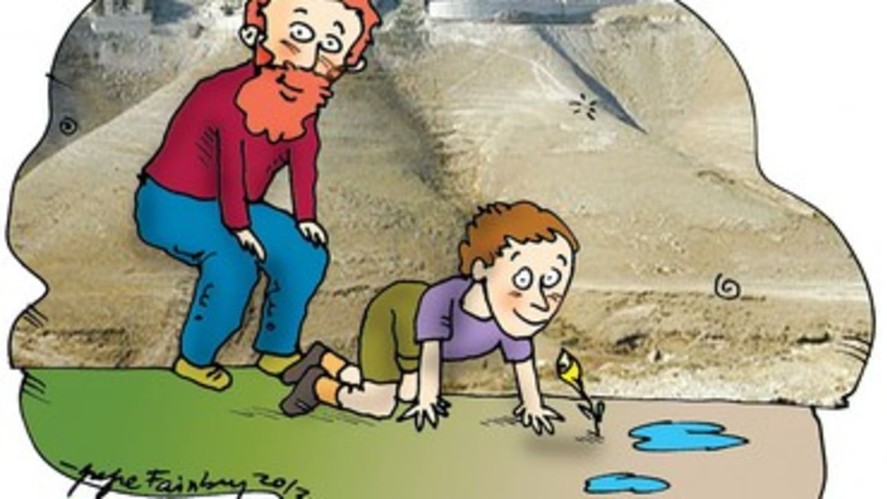 Optimism cartoon 370