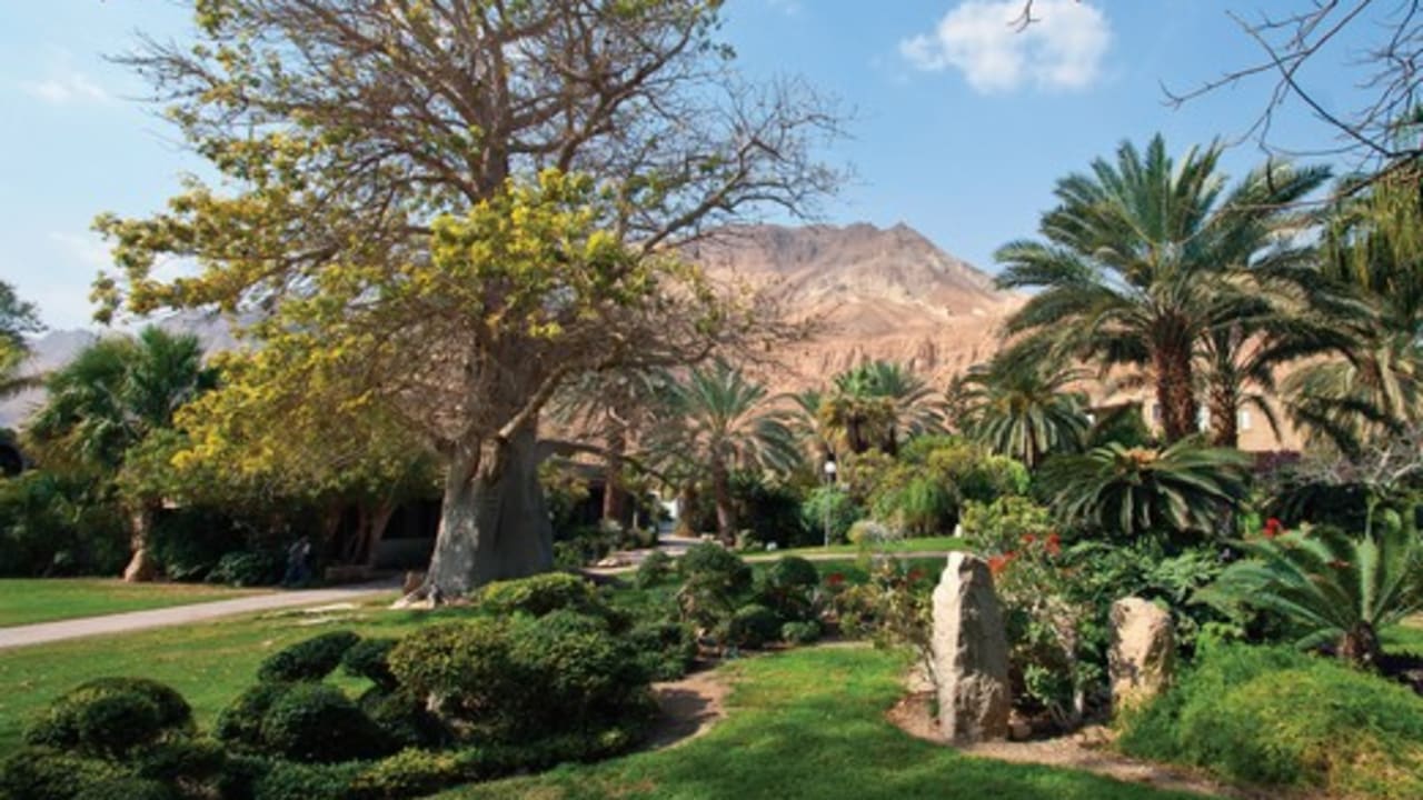 Ein Gedi 521