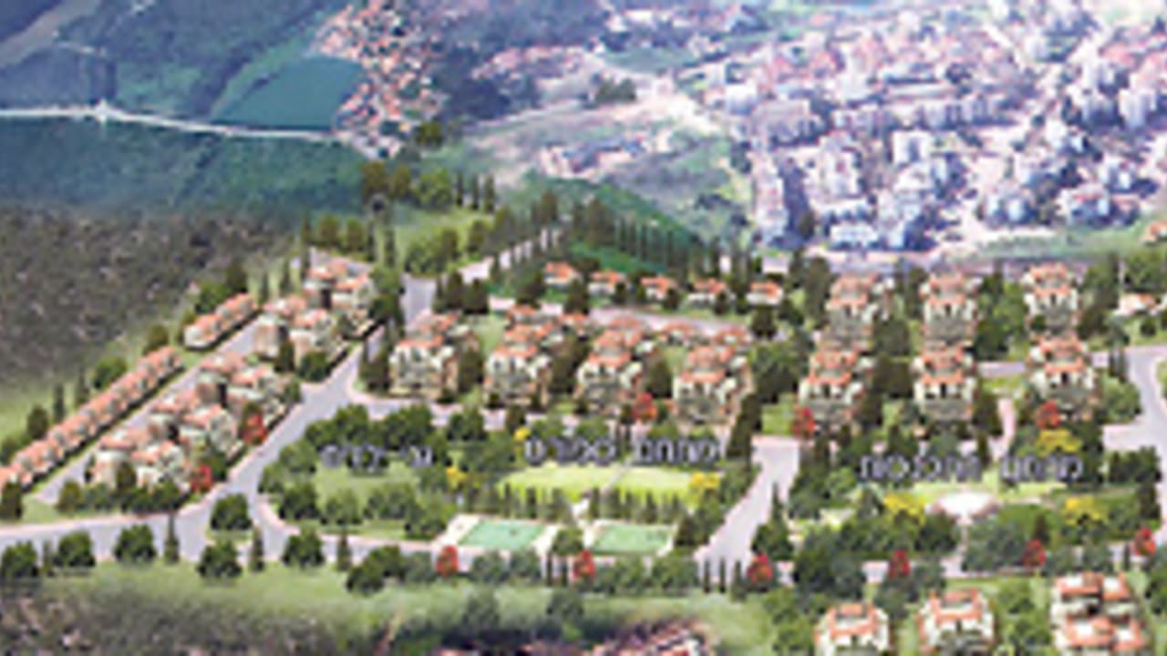 zichron 88 224