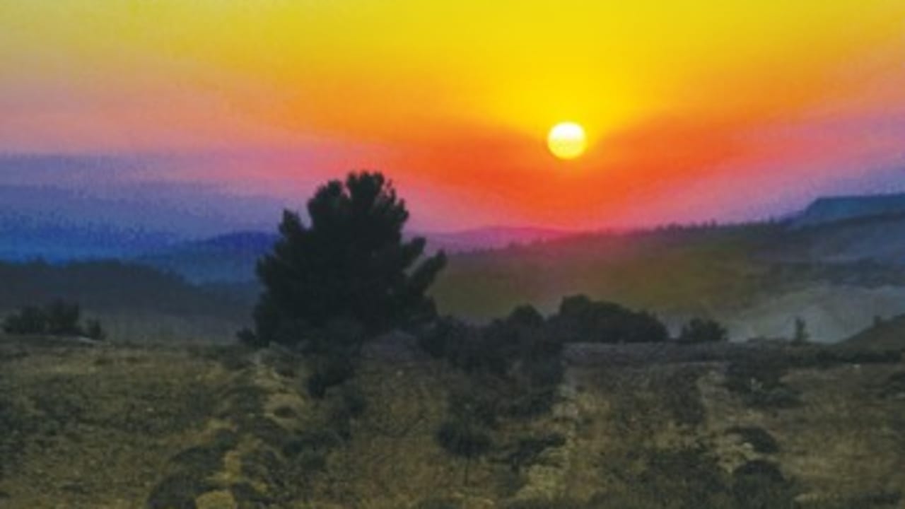 Sunset 370