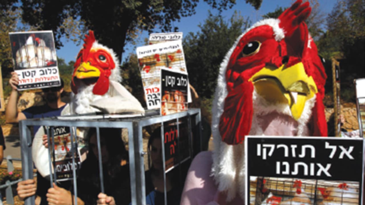 Animal rights protest israel 521