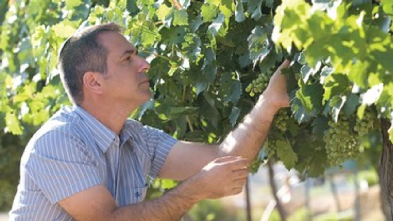 Groundbreaking research on local varieties: Dr. Shivi Drori
