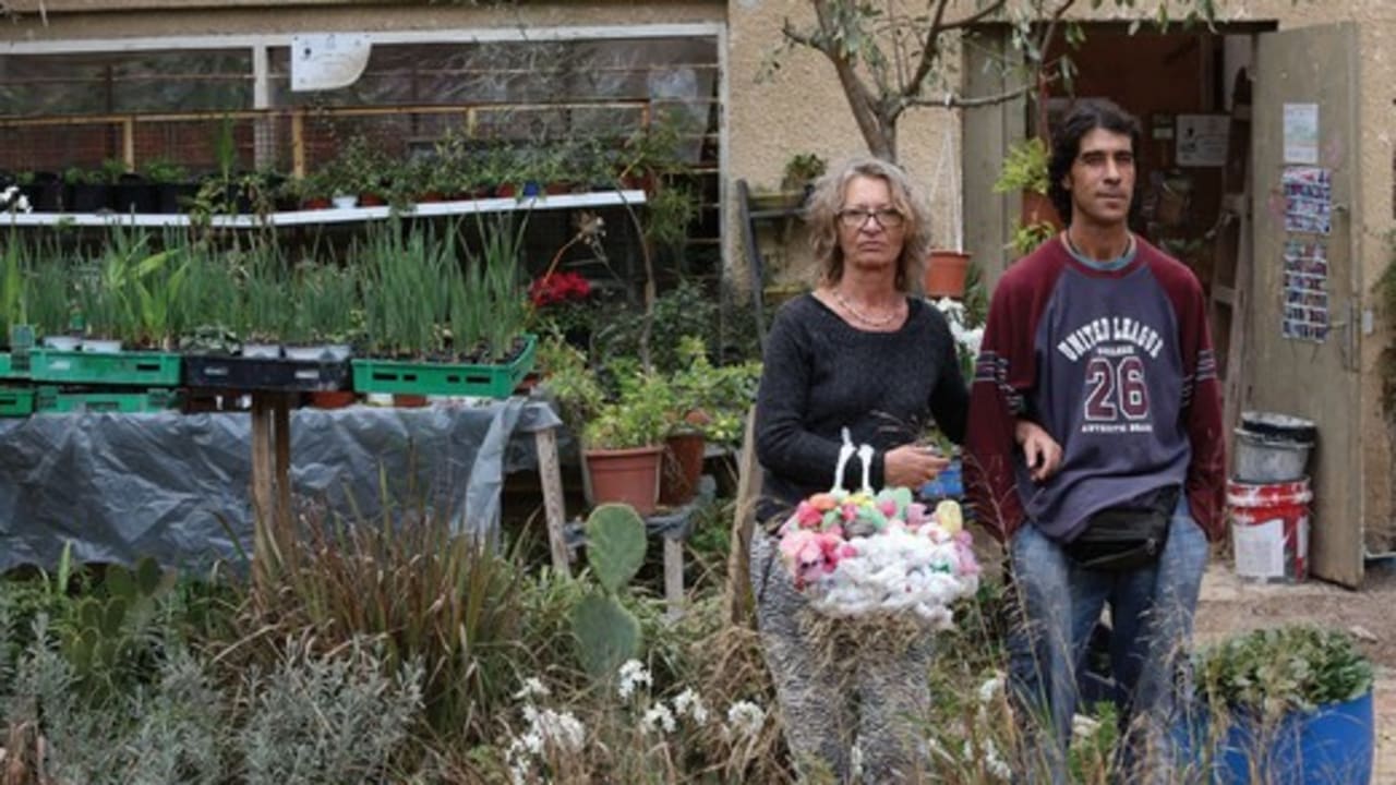 Garden therapy 521