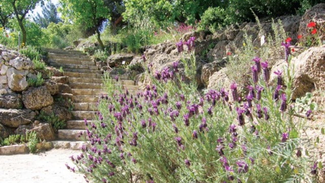 The Botanical Gardens on the Hebrew University’s Mount Scopus campus. Work to keep gardens alive may be performed during the ‘shmita’ year
