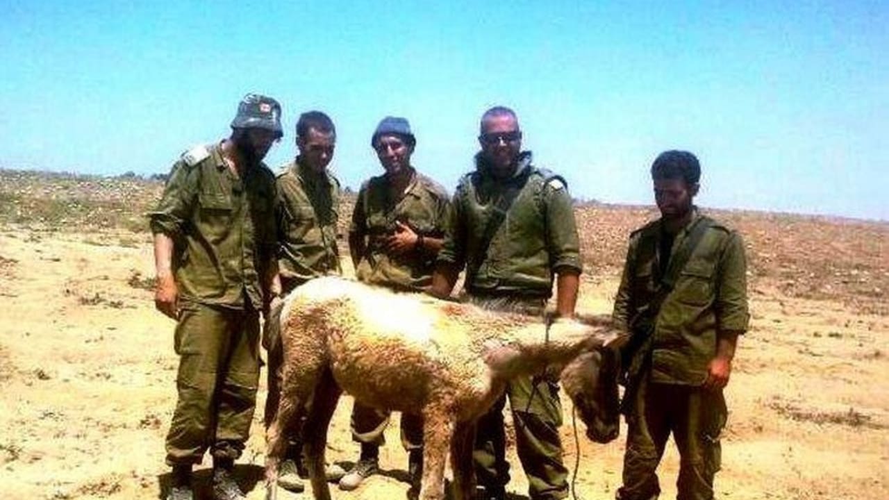 Julie arrives at an IDF camp.