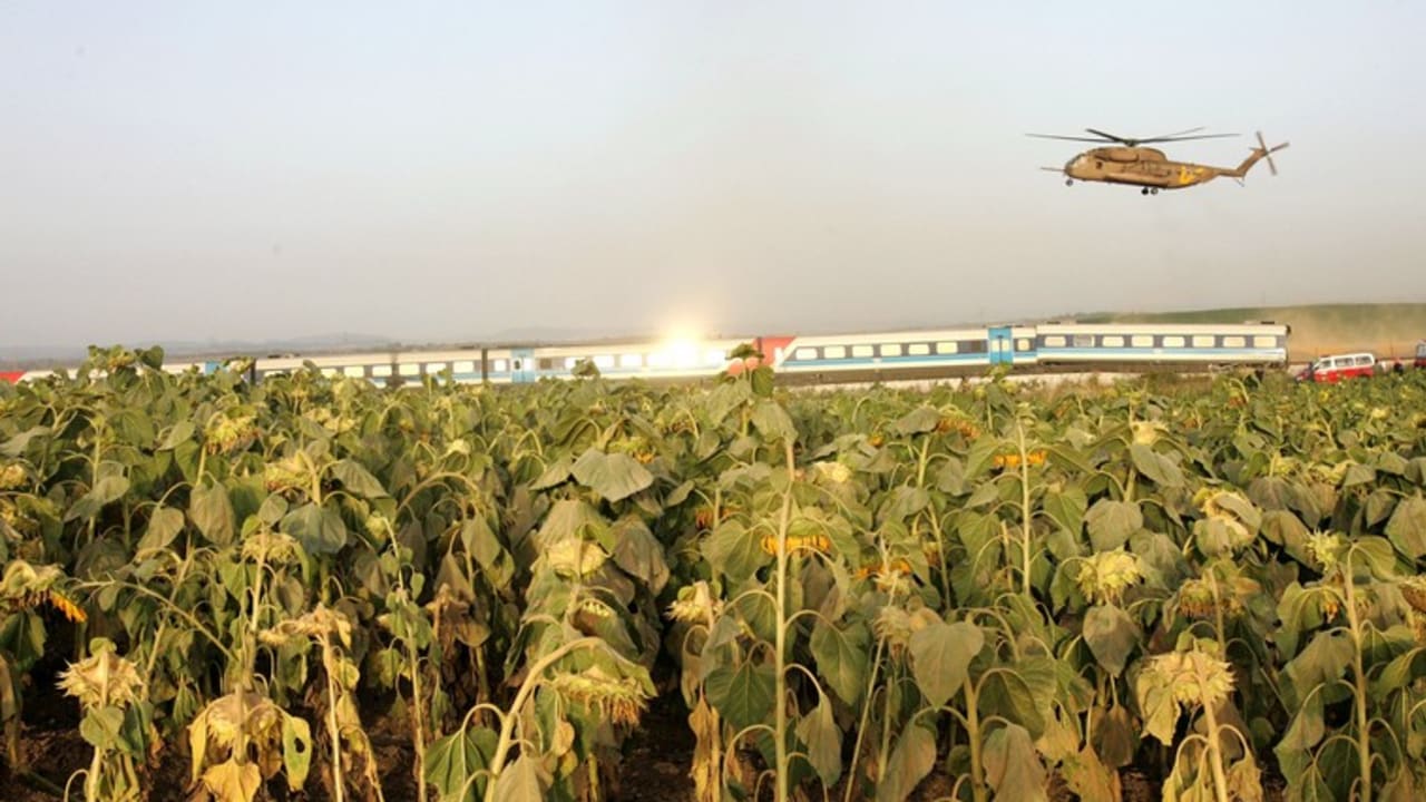 We are entering the Sabbatical year where work is forbidden on the fields of Israel