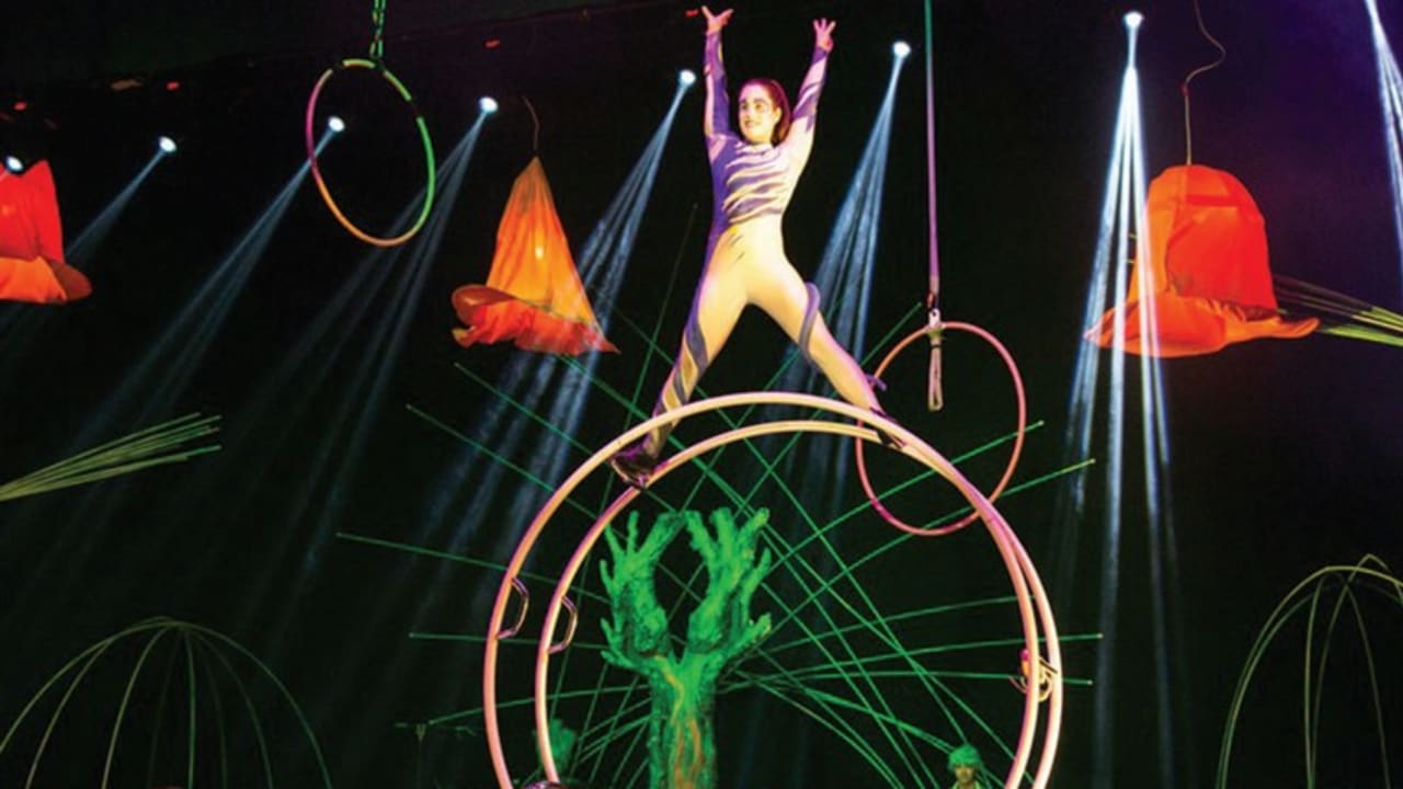 Bravo Circus in Israel