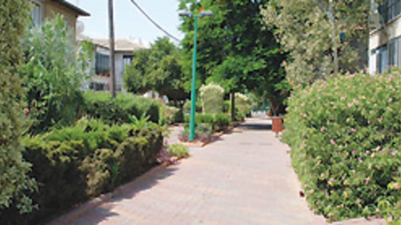 Rehov Hedva 88 248