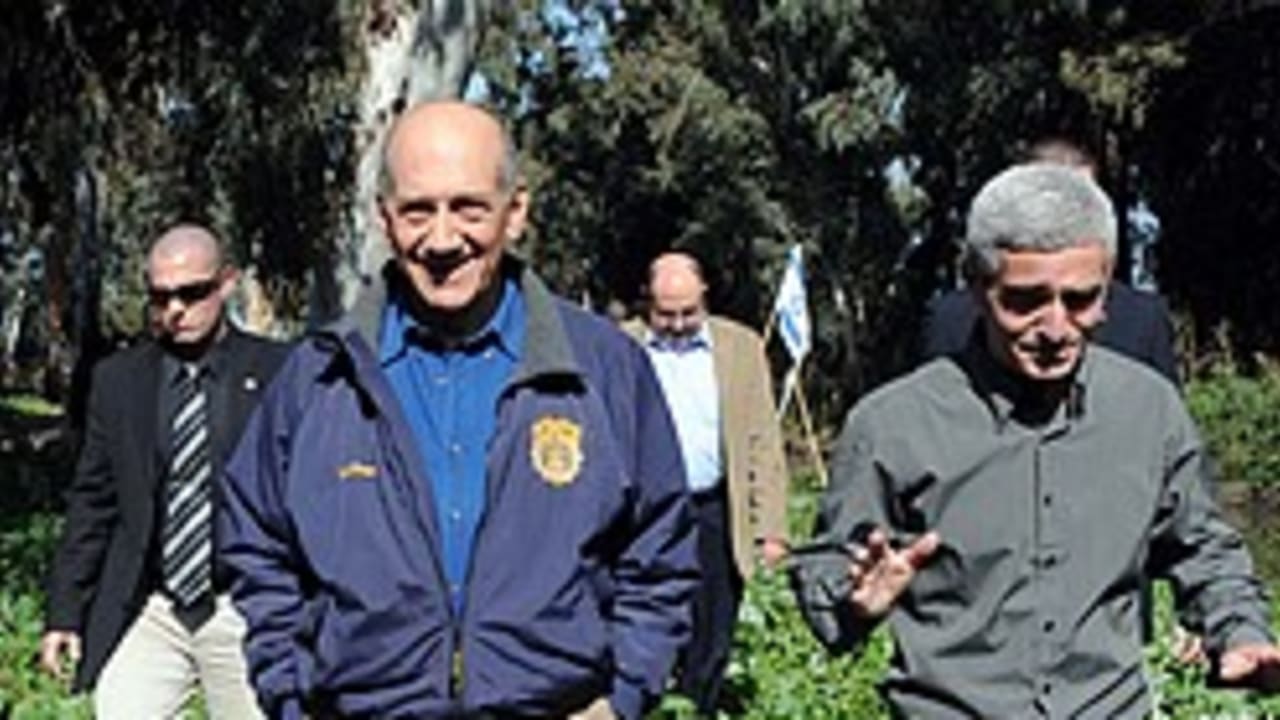 Olmert strawberry fields 248 88