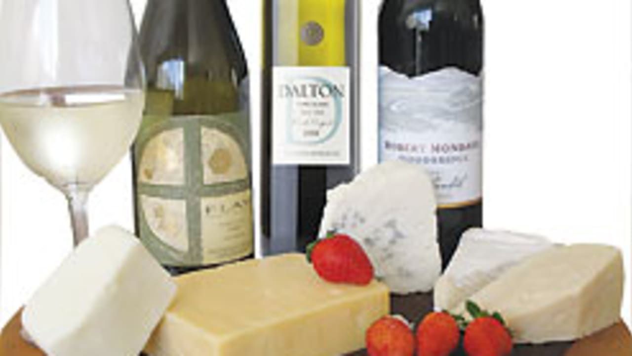 wine and cheese 88 248