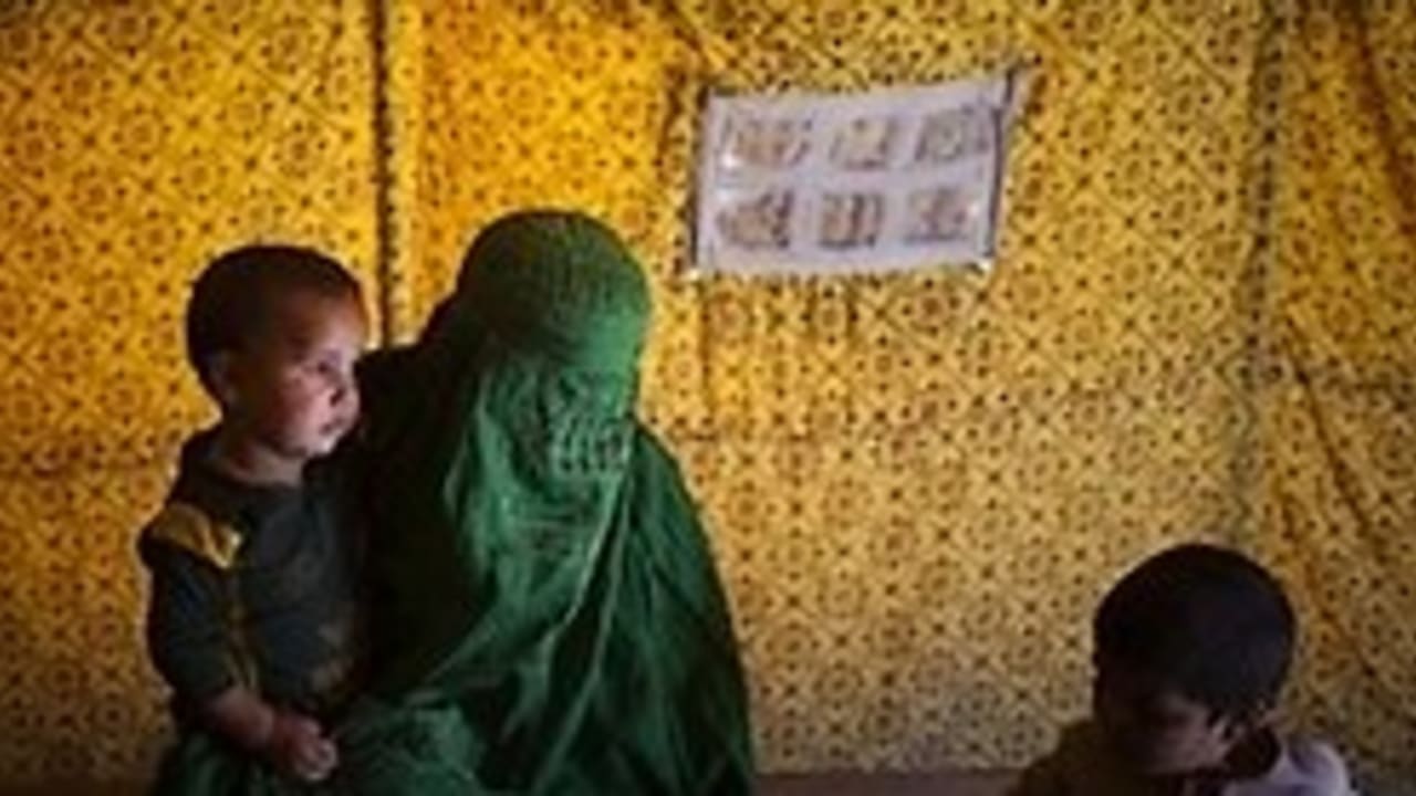 pakistani refugees 248.88 ap