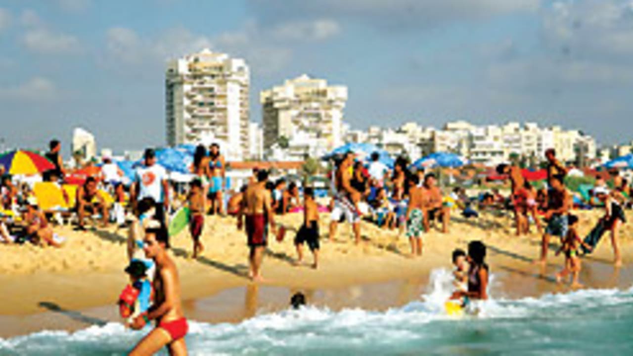 beach great 88 248