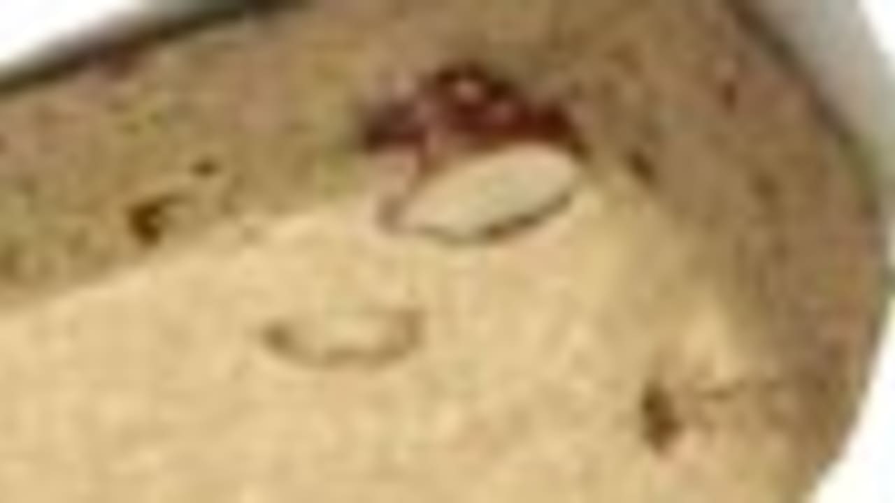 halva 88