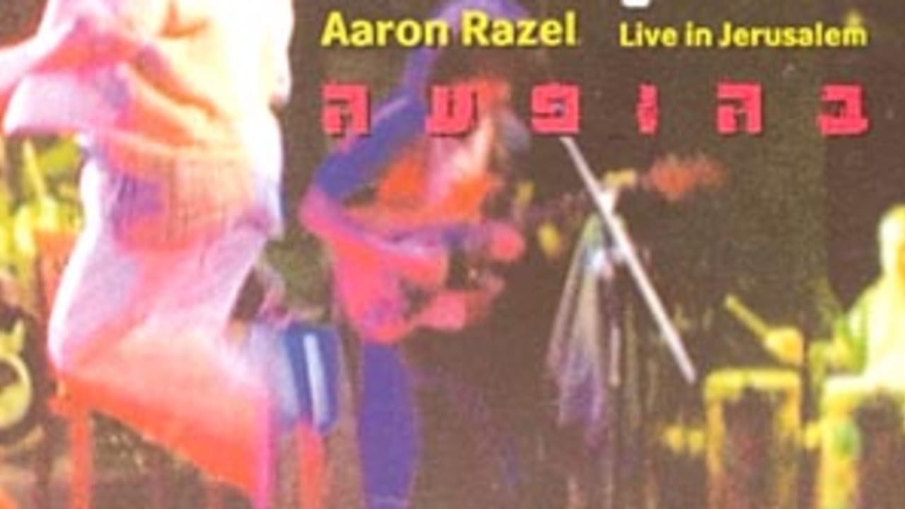 razel disk 88 298